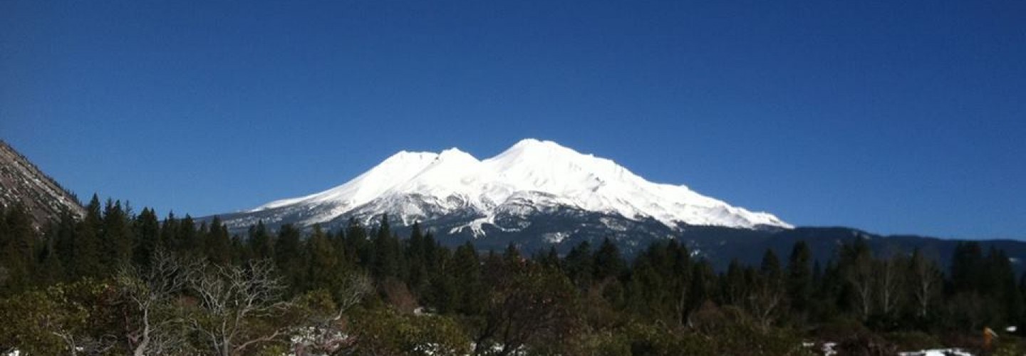 Shasta Summer